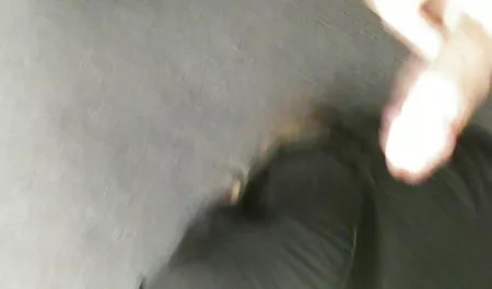 Холлі красиві пампушки порно був товстенький збірник