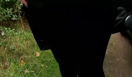 Мері хоче krasivaya sex video анал клуб 19' Ванесса-дель-Ріо